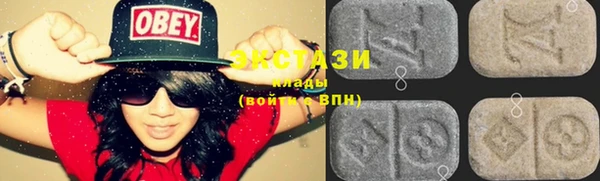 шишки Магас