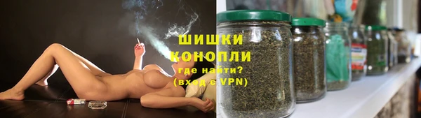 шишки Магас