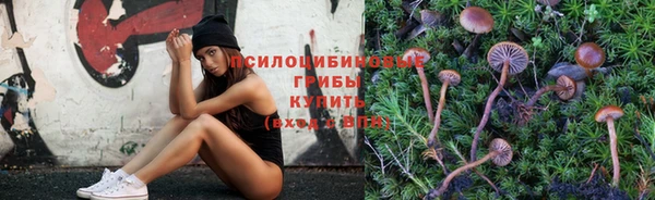 mdpv Медвежьегорск