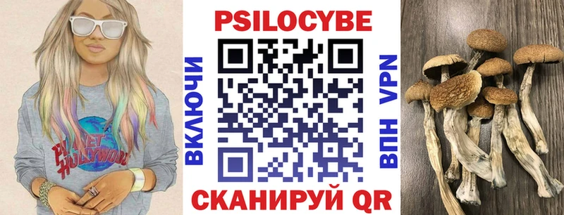 ссылка на мегу ССЫЛКА  Ивдель  Псилоцибиновые грибы Magic Shrooms 